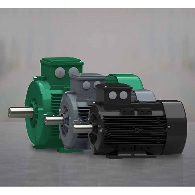 Electric Motors Volpi