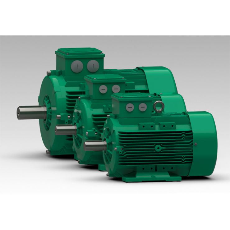Electric Motors Volpi