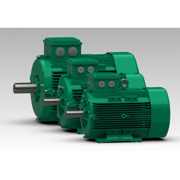 Electric Motors Volpi